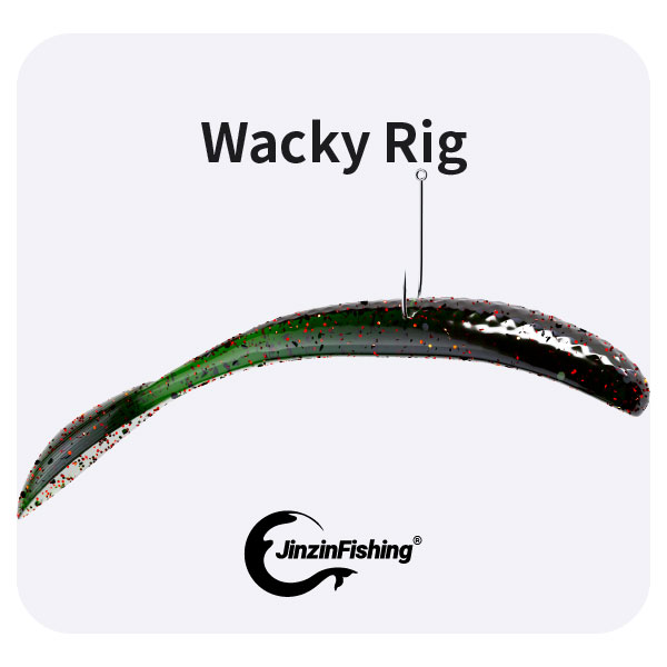 鲸志钓-鲸灵面条虫_维基钓组